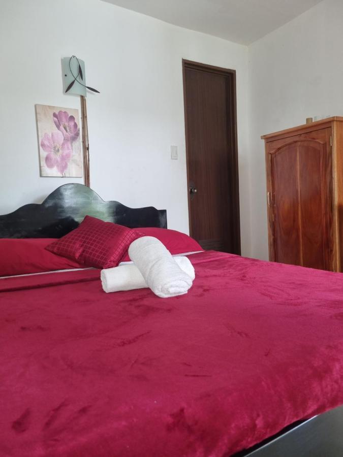 Southpoint Hostel Moalboal Luaran gambar